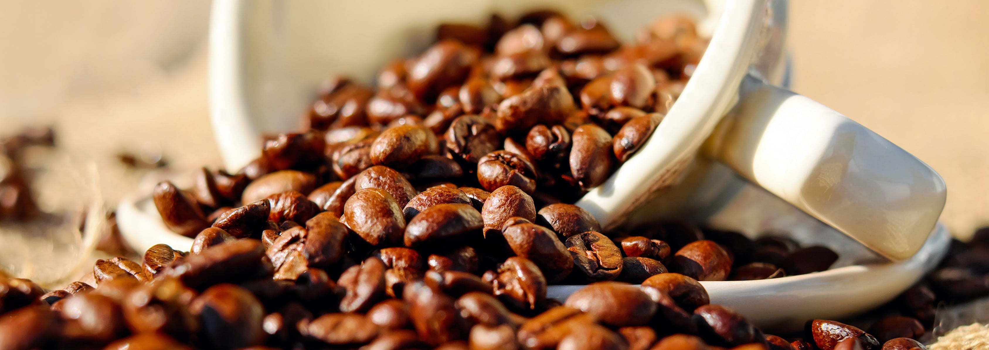 How Much Coffee Bean For A Cup Of Coffee Coffee Signatures