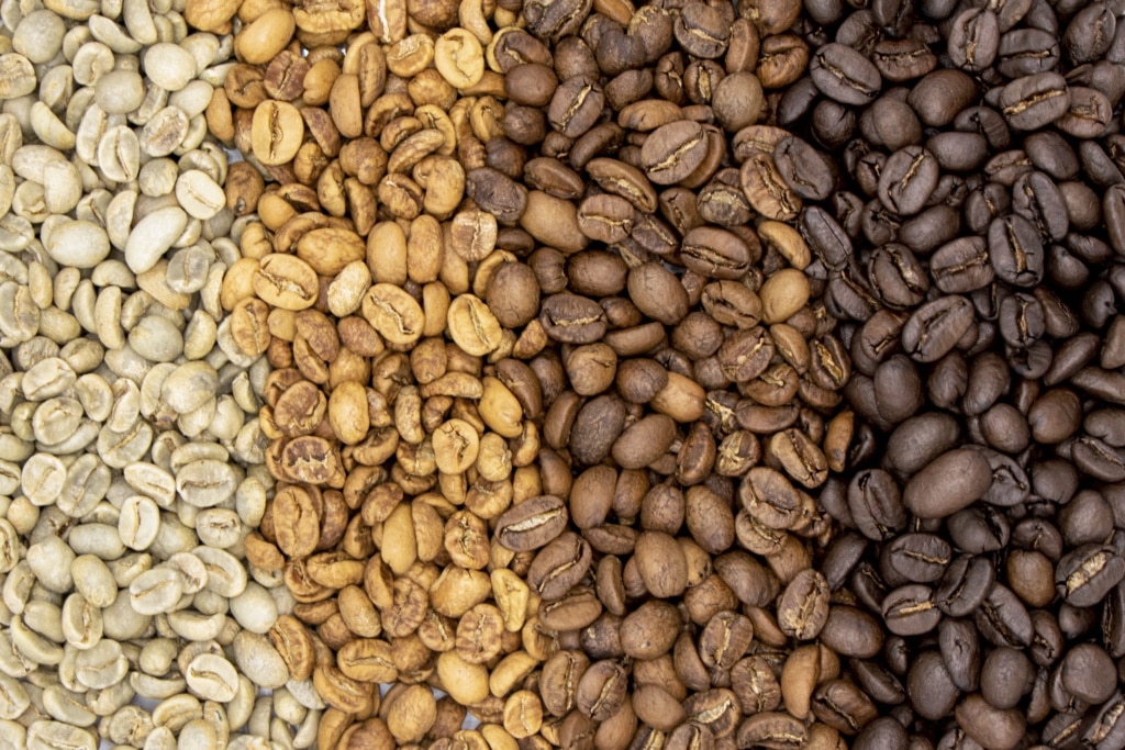 Top 10 Mexican Coffee Brands – Ground and Full-bean Options with Amazing Flavor