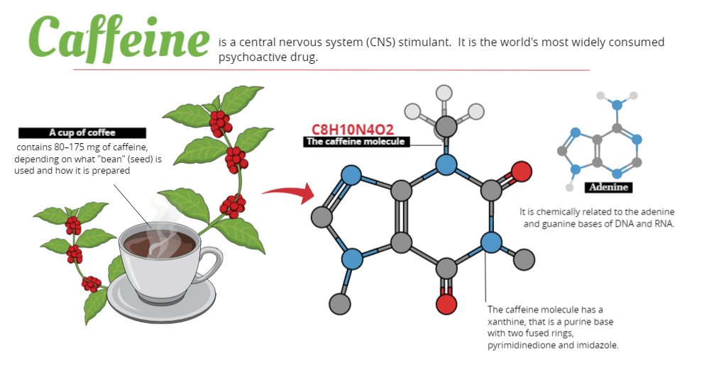 How Much Caffeine Is In A Cup Of Coffee Here S The Answer