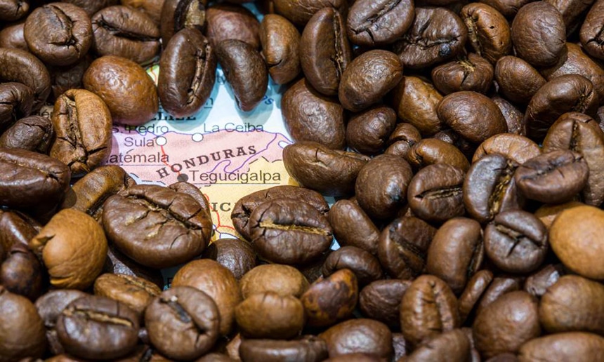 Best Honduran Coffee - Great Variety of Tasting Notes!